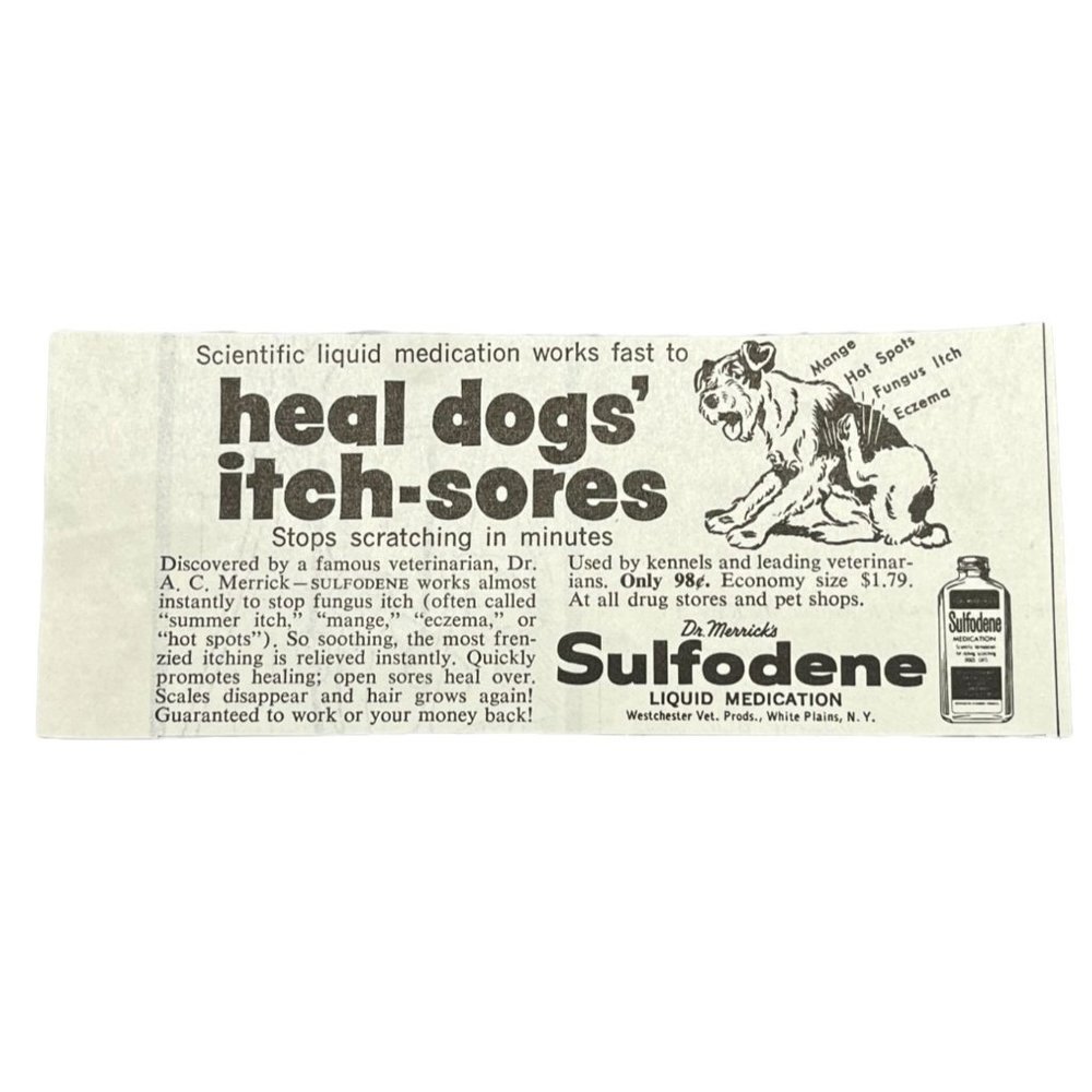Small Vintage Print Ad Sulfodene Dog Itch Medication Dr Merrick Veterinary Decor